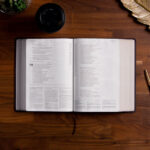 Bible Reeading Plan